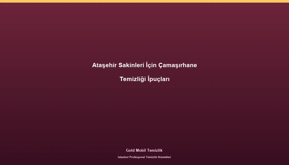 Ataşehir Sakinleri İçin Çamaşırhane Temizliği İpuçları