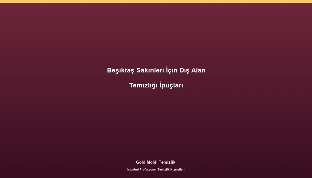 Beşiktaş Sakinleri İçin Dış Alan Temizliği İpuçları