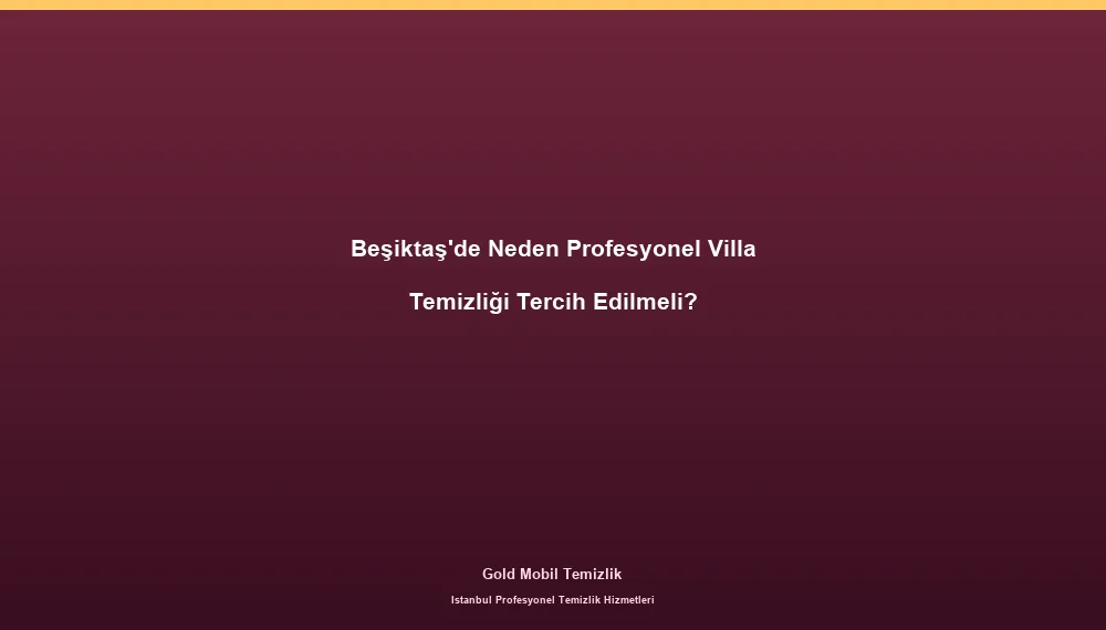 Beşiktaş'de Neden Profesyonel Villa Temizliği Tercih Edilmeli?