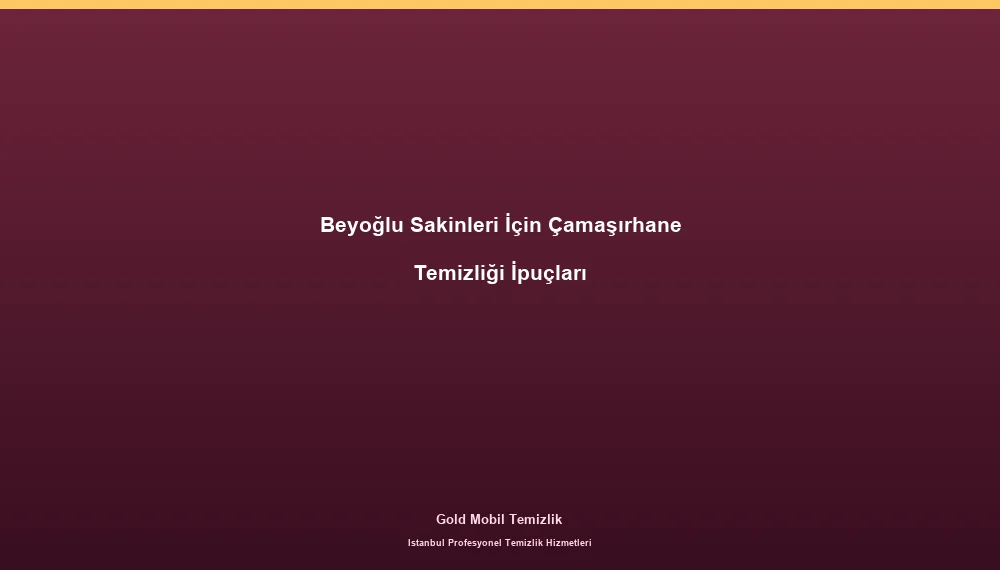 Beyoğlu Sakinleri İçin Çamaşırhane Temizliği İpuçları