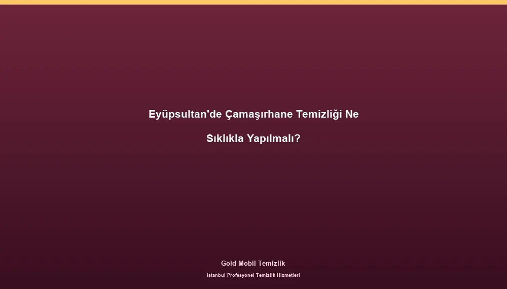 Eyüpsultan'de Çamaşırhane Temizliği Ne Sıklıkla Yapılmalı?