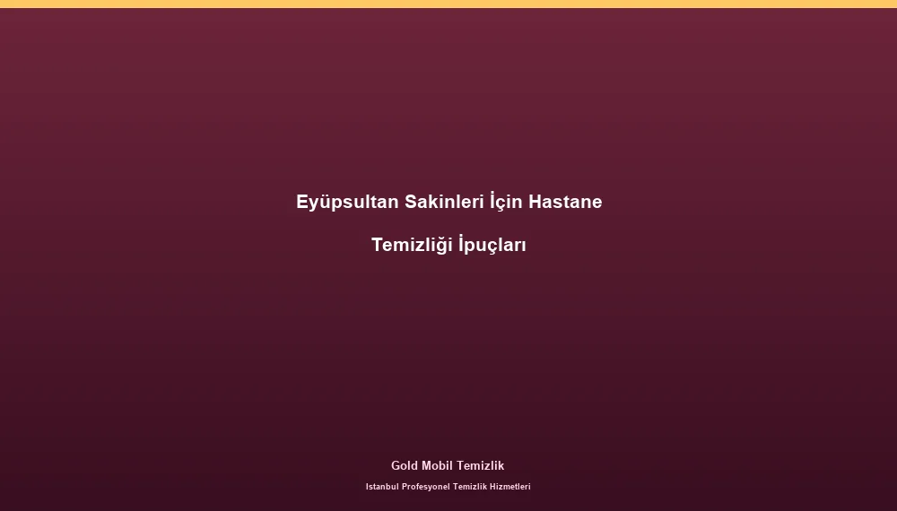 Eyüpsultan Sakinleri İçin Hastane Temizliği İpuçları