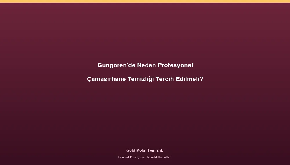 Güngören'de Neden Profesyonel Çamaşırhane Temizliği Tercih Edilmeli?