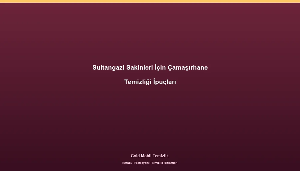 Sultangazi Sakinleri İçin Çamaşırhane Temizliği İpuçları