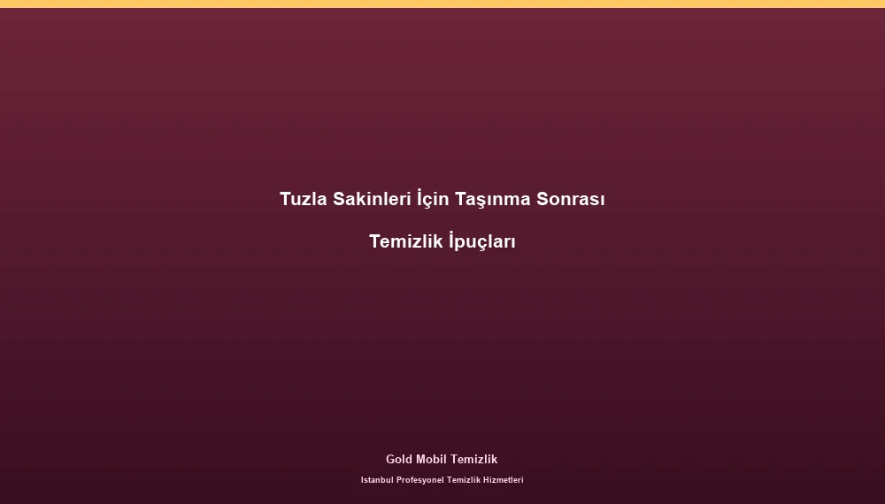 Tuzla Sakinleri İçin Taşınma Sonrası Temizlik İpuçları