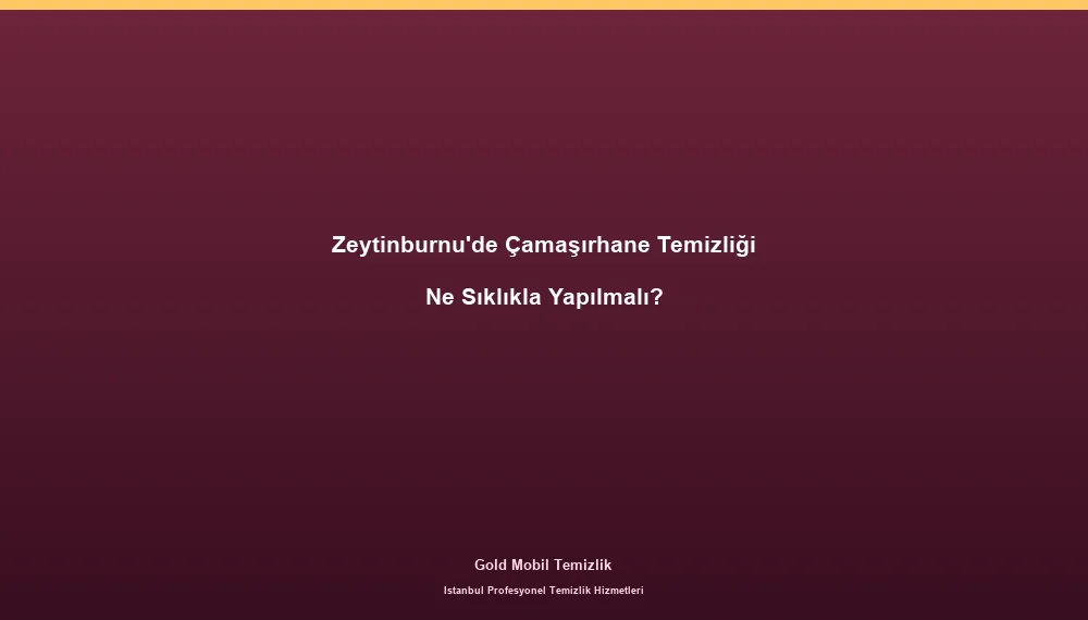 Zeytinburnu'de Çamaşırhane Temizliği Ne Sıklıkla Yapılmalı?