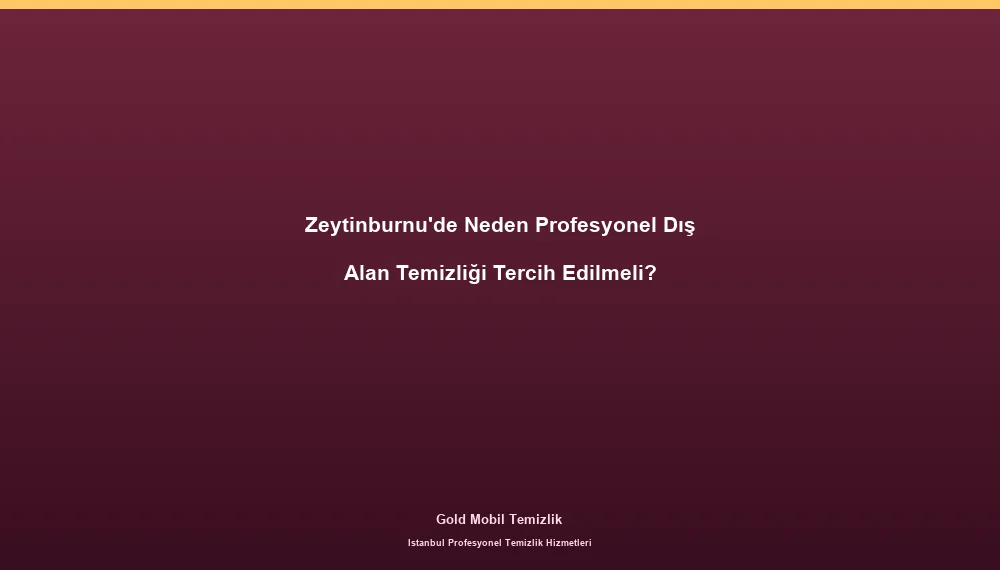 Zeytinburnu'de Neden Profesyonel Dış Alan Temizliği Tercih Edilmeli?