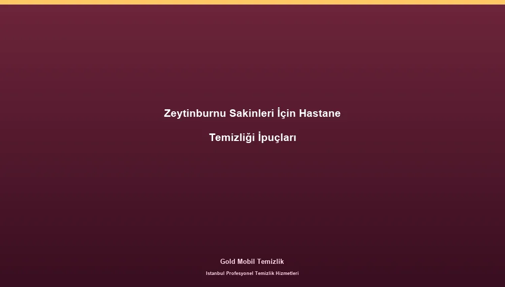 Zeytinburnu Sakinleri İçin Hastane Temizliği İpuçları