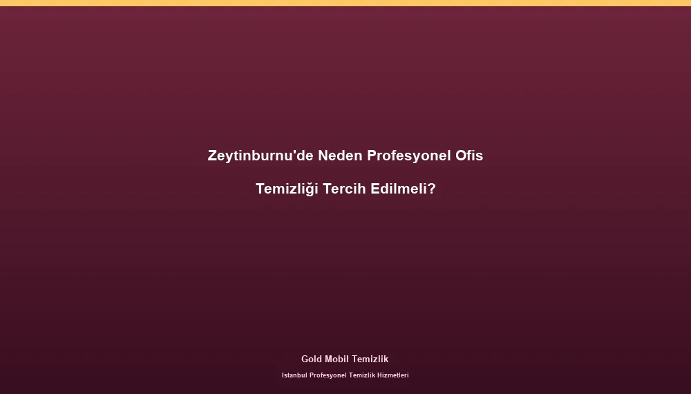 Zeytinburnu'de Neden Profesyonel Ofis Temizliği Tercih Edilmeli?