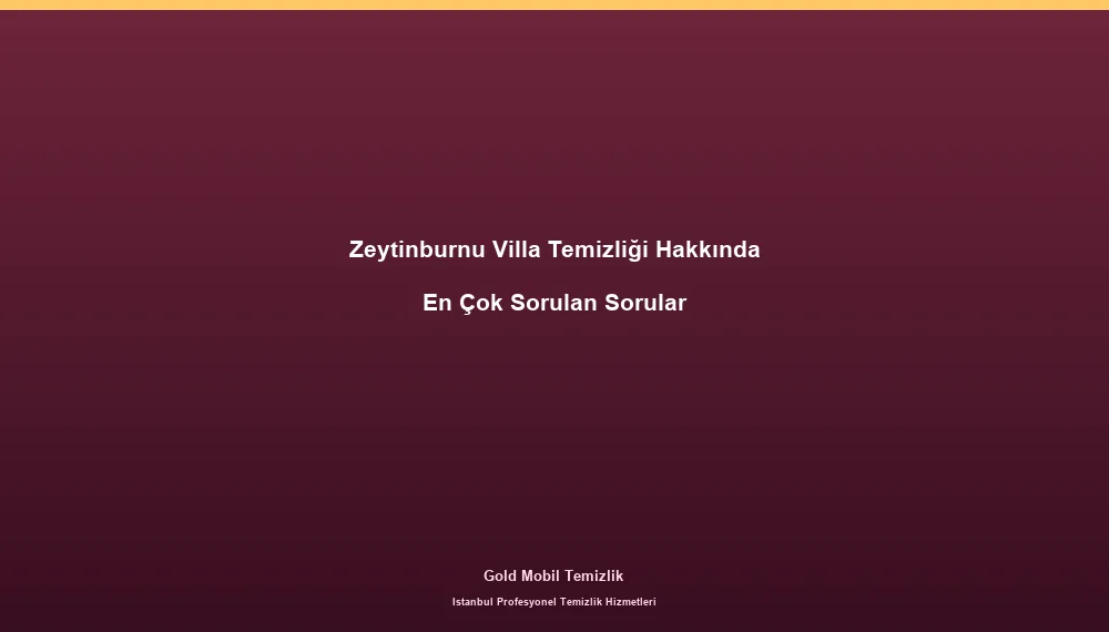 Zeytinburnu Villa Temizliği Hakkında En Çok Sorulan Sorular